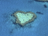 Heart Shape Reef Photographie par Jean-Dominique Martin