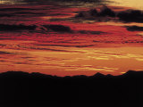 Sonoran Desert, Near Tucson, Arizona Photographic Print by Elizabeth DeLaney