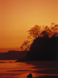 Pacific Coast Rain Forest at Dusk, Costa Rica Photographic Print by Robert Houser