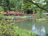 Japanese Garden, WAshington Park Arboretum, WA Lámina fotográfica por Mark Windom Japanese Garden, WAshington Park Arboretum, WA Lámina fotográfica por Mark Windom