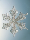 Snowflake, Close Up Photographic Print by Edward Kinsman