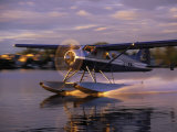 Float Plane Landing, AK Fotografie-Druck von Jim Oltersdorf