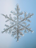 Snowflake, Close Up Photographic Print by Ted Kinsman