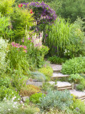 Gravel and Wood Steps Leading up Through Informal Summer Border Lámina fotográfica por Mark Bolton Gravel and Wood Steps Leading up Through Informal Summer Border Lámina fotográfica por Mark Bolton