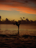 Woman Doing Yoga in Water at Sunset, Tahiti Photographic Print