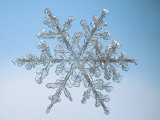 Snowflake, Close Up Photographic Print by Edward Kinsman