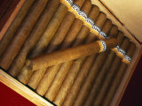Cuban Cigars, Havana, Cuba Photographic Print by Angelo Cavalli