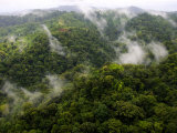 Aerial View of Rainforest with Clouds, Costa Rica Photographic Print by Roy Toft