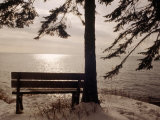 Bench and Tree, Lake Superior in Winter Photographic Print