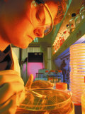 Woman with Petri Dish Working in Lab Lámina fotográfica por Peter Gregoire