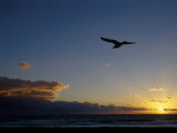 Miami Beach, South Beach Atlantic Shore Photographic Print by Jeff Greenberg