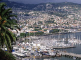 City and Marina, Funchal, Madeira, Portugal Photographic Print by Walter Bibikow