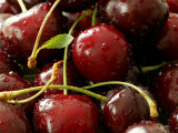 Cherry, Close-up of Red Fruits with Stalks and Covered in Water Drops Photographie par Susie Mccaffrey