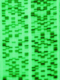 DNA Sequence, a Non- Photosynthetic Algae Photographic Print by David M. Dennis