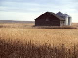 Grain Barn, Rosebud, Alberta, Canada Photographic Print by Walter Bibikow