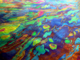 Oil on Water Rainbow Effect Caused by Varying Thickness of Oil Film on Water, Defracts Light Photographic Print by David M. Dennis