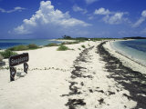 Seaplane Parking Area, Dry Tortugas, FL Lámina fotográfica por Chel Beeson Seaplane Parking Area, Dry Tortugas, FL Lámina fotográfica por Chel Beeson