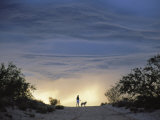 Silhouette of Woman and Dog, Thunderhead, Tucson, Fotografisk tryk af Frank Staub Silhouette of Woman and Dog, Thunderhead, Tucson, Fotografisk tryk af Frank Staub