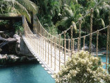 Rope Bridge, Acapulco, Mexico Photographic Print by Barry Winiker