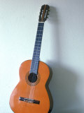 Guitar Leaning Against a Wall Photographic Print by Dr. Luis De La Maza
