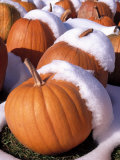 Pumpkins in Snow Photographic Print by Jim McGuire