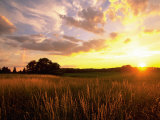 Sunset Over Salt Marsh, Essex, MA Photographic Print by Kindra Clineff