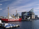National Aquarium, Inner Harbor, Baltimore, MD Photographic Print by Jim Schwabel