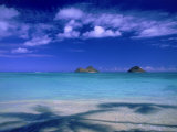 Shadow of Palm Trees on Lanikai Beach, Oahu, HI Photographic Print by Tomas del Amo