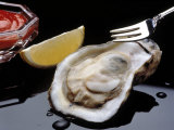 Oyster on Halfshell with Lemon and Sauce Valokuvavedos tekijänä Ken Glaser Oyster on Halfshell with Lemon and Sauce Valokuvavedos tekijänä Ken Glaser