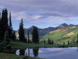 Sky and Tree Reflected in River, Gunnison Nf, CO Photographic Print by Don Grall
