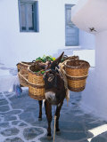 Donkey and Food in Baskets for Sale, Mykonos, Gree Lámina fotográfica por Phyllis Picardi
