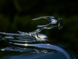 1931 Chrysler Deluxe Series 8 Hood Emblem Lámina fotográfica