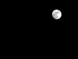 Full Moon in the Night Sky Photographie par Jeff Greenberg