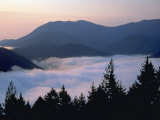 Fog, Hurricane Ridge, Olympic National Park, WA Photographic Print by Brian Maslyar