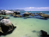 Boulders Beach, Simon's Town, South Africa Photographic Print by Walter Bibikow