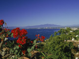 View of Puerto Vallarta, Mexico Photographic Print by Grayce Roessler