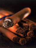 Lit Cigar on Top of Bundle of Cigars Fotografie-Druck von Ellen Kamp