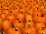 Calabazas / Curcubitáceos Lámina fotográfica por David Davis