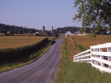 Country Road, Lancaster County, PA Photographic Print by Michele Burgess