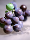 Close-up of Grapes Photographic Print by John Glembin