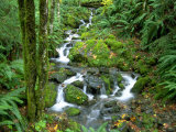 Waterfall at Mt. Rainer Rain Forest Photographic Print by Charles Benes