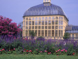 City Conservatory, Baltimore, MD Photographic Print by Mark Gibson