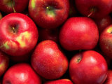 Red Rome Beauty Apples Photographic Print by Inga Spence