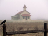 Bird on Fence in Front of Schoolhouse Photographic Print by Roger Holden