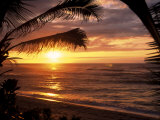 Sunset on the Ocean with Palm Trees, Oahu, HI Fotografie-Druck von Bill Romerhaus