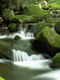 Stream, Great Smoky Mountain National Park, TN Photographic Print by David Davis