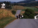 Amish Children, Lancaster County, PA Fotografisk trykk av Michele Burgess