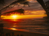 Sunset on the Ocean with Palm Trees, Oahu, HI Photographie par Bill Romerhaus