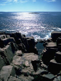 Otter Cliffs, Acadia National Park, ME Photographic Print by Mark Hunt