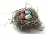 US Money Painted on Eggs in Nest Photographic Print by Jon Riley